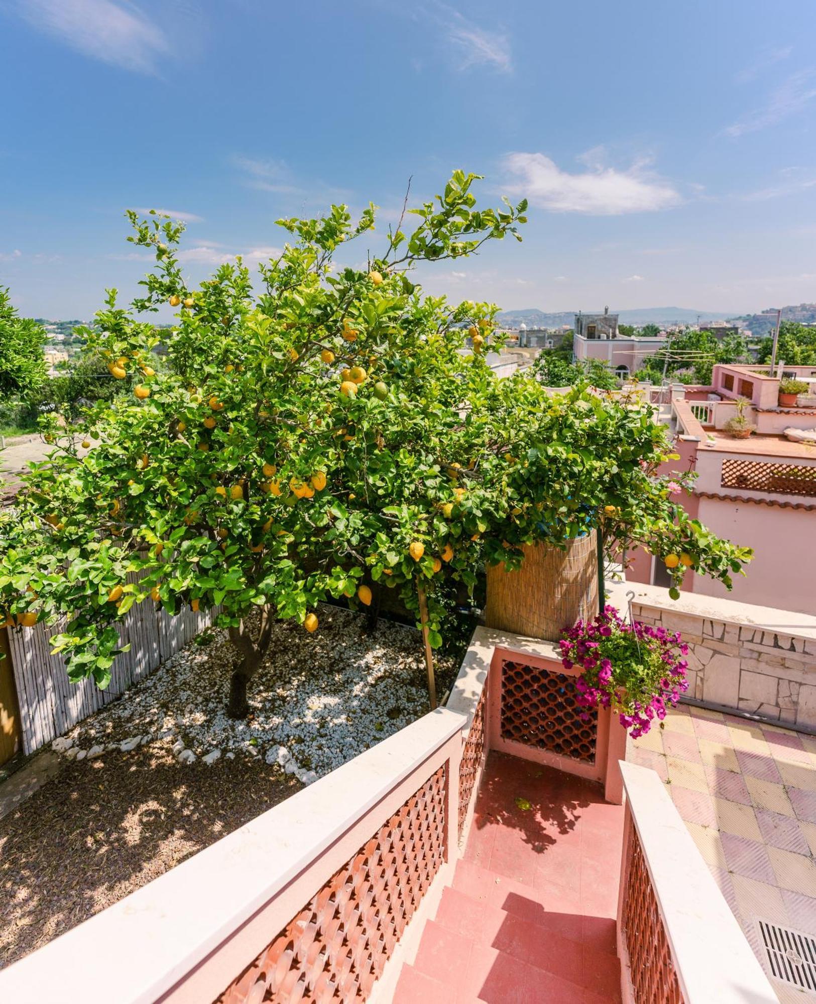 Bed and Breakfast Le Jardin à Procida Extérieur photo